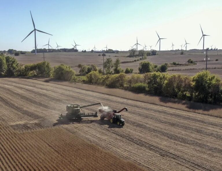 EE. UU. enviará a China 12 millones de toneladas de soja este año y 25 anuales hasta 2028